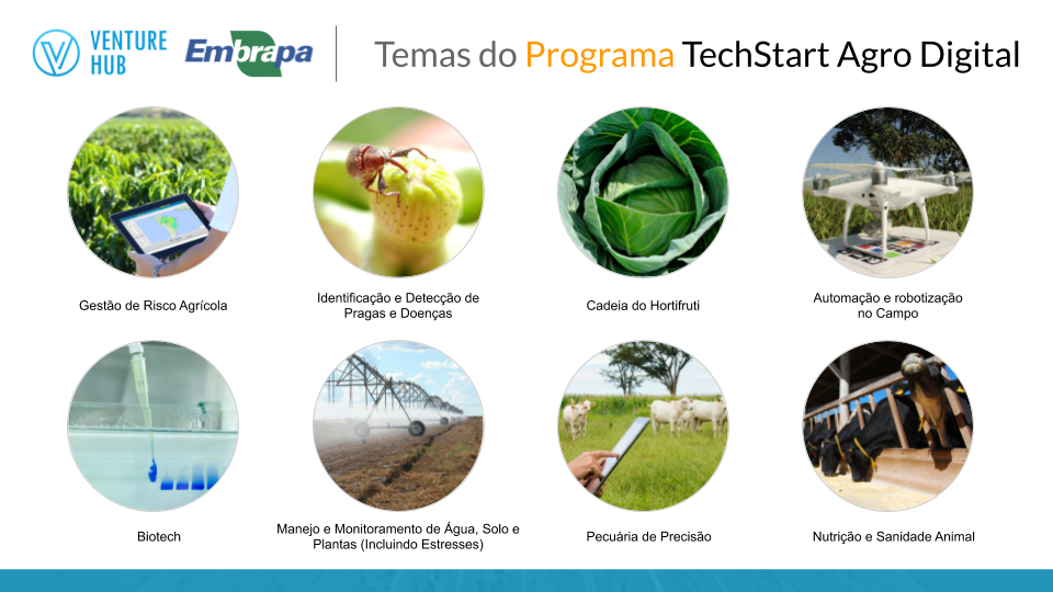 Temas TechStart Agro Digital 