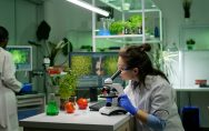 Pesquisadora analisa amostra vegetal em laboratório enquanto realiza pesquisa. Imagem de capa para o blogpost Programas Prioritários do CAPDA: como usar recursos de P&D