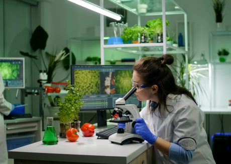 Pesquisadora analisa amostra vegetal em laboratório enquanto realiza pesquisa. Imagem de capa para o blogpost Programas Prioritários do CAPDA: como usar recursos de P&D